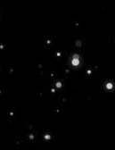 Vide Image